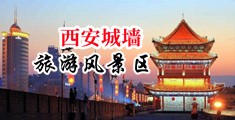少妇吃大屌中国陕西-西安城墙旅游风景区