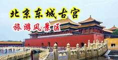 大鸡巴操美女大逼视频中国北京-东城古宫旅游风景区